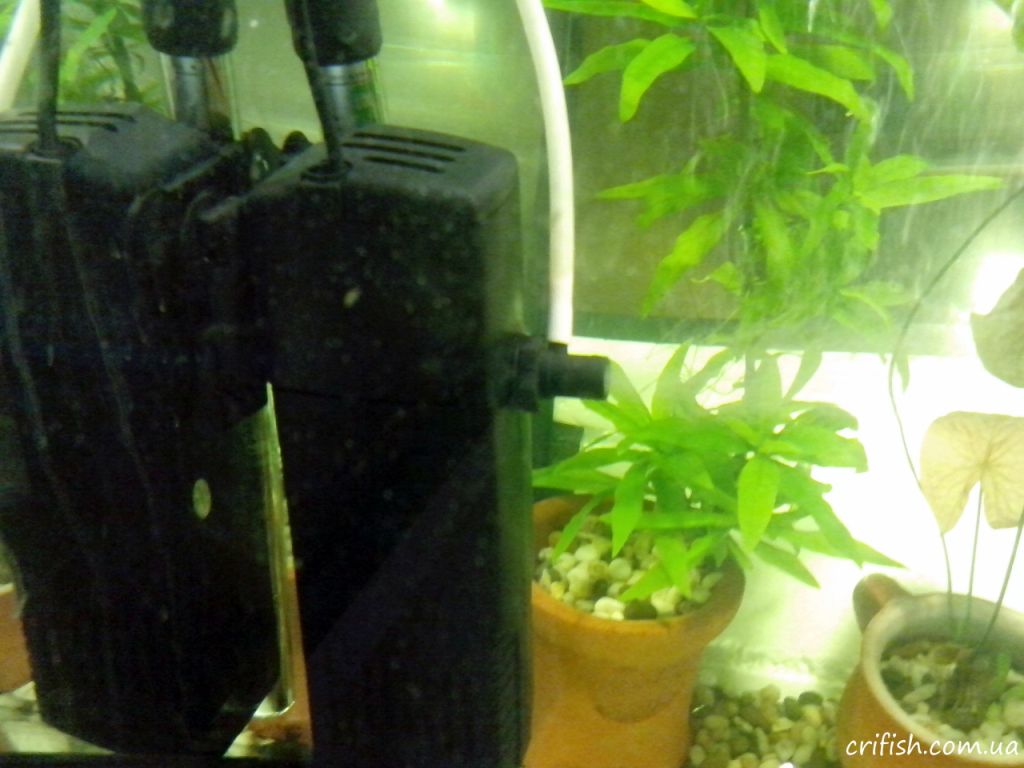 аквариум ромбом